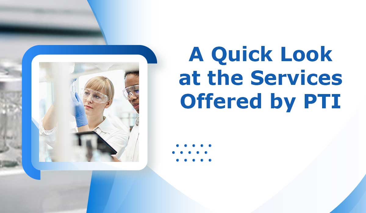 A Quick Look at the Services Offered by PTI