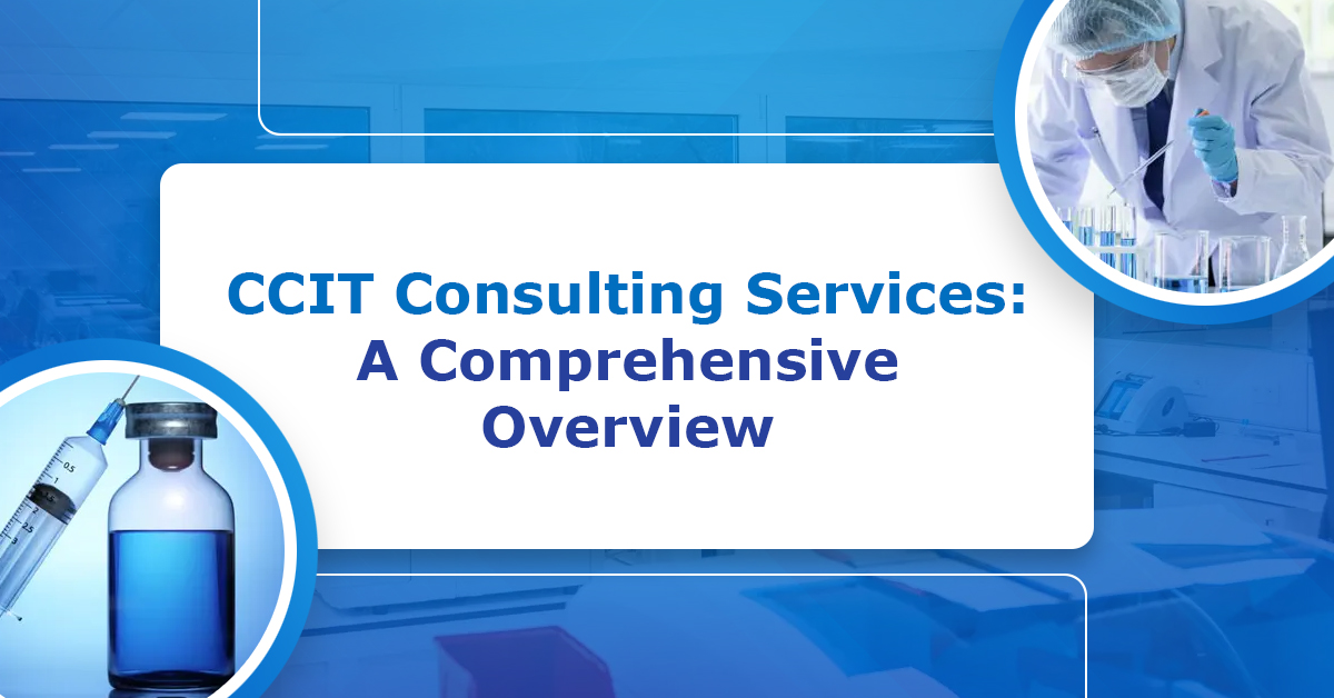 CCIT-Consulting-Services-A-Comprehensive-Overview
